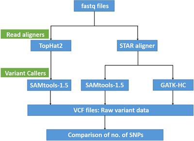 Characterization of Genetic and Allelic Diversity Amongst Cultivated and Wild Lentil Accessions for Germplasm Enhancement